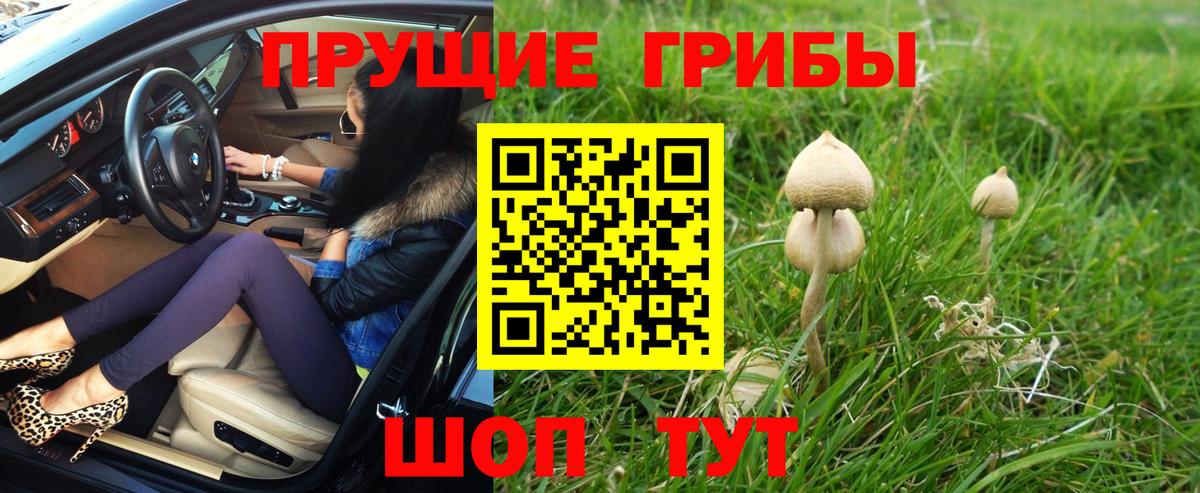 Галлюциногенные грибы мицелий Саранск